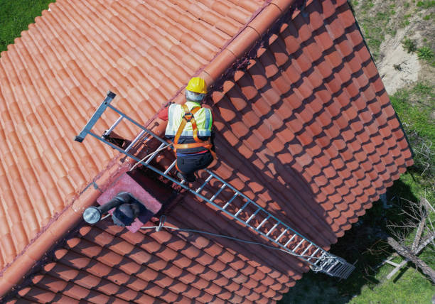 Best Roof Insulation Installation  in Lely Resort, FL