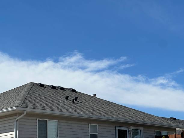 Best Gutter Installation and Repair  in Lely Resort, FL